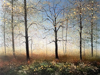 Somewhere the Light Paused